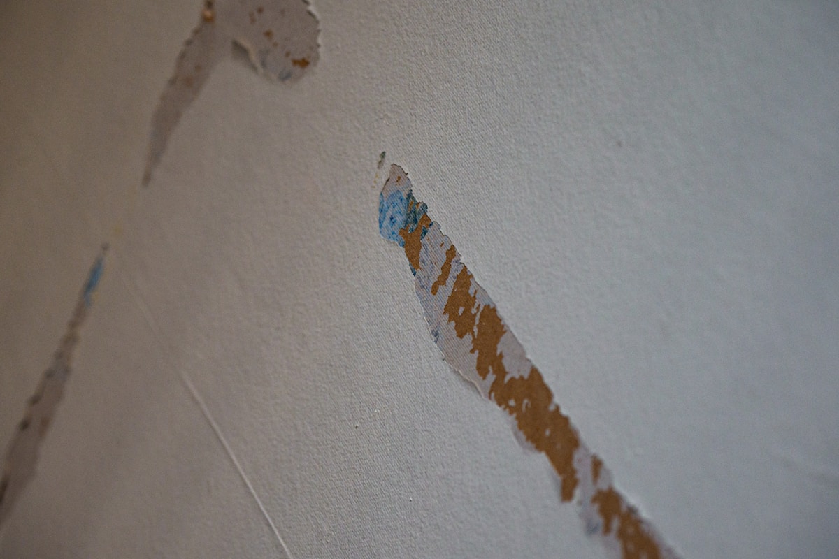 Storm Damage Repair service in Redondo Beach, CA